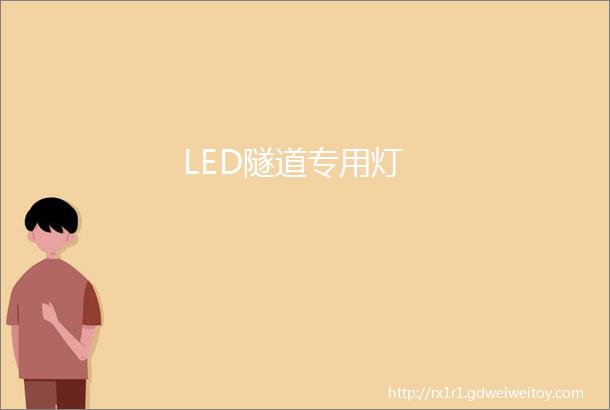 LED隧道专用灯